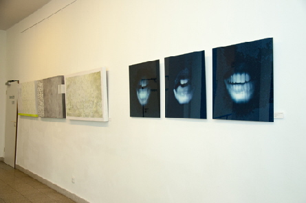 Glasgalerie Dormagen �Sigrid van Sierenberg