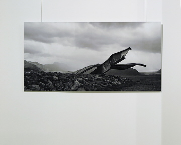 BR�CKENFEILER_Sigrid van Sierenberg