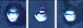  Lippenbekenntnis I-III  �Sigrid van Sierenberg