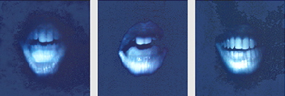  Lippenbekenntnis I-III � Sigrid van Sierenberg