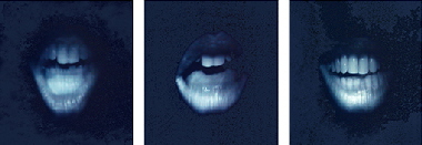 Lippenbekenntnis I-III  �Sigrid van Sierenberg