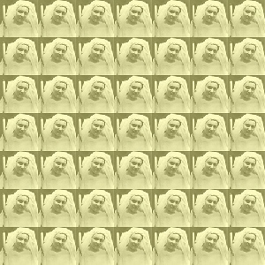 Edith Stein II �Sigrid van Sierenberg