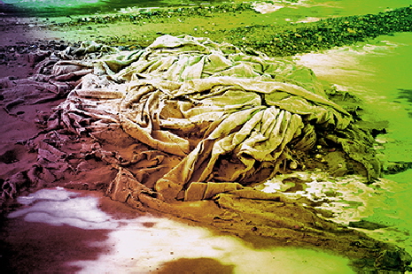 ANGESCHWEMMT 01-1  �Sigrid van Sierenberg