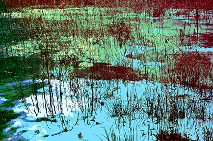 WINTER-SPAZIERGANG 01  �Sigrid van Sierenberg