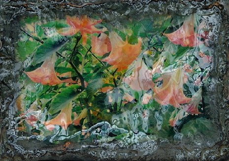 Stein-Blume I �Sigrid van Sierenberg