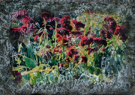 Stein-Blume II �Sigrid van Sierenberg