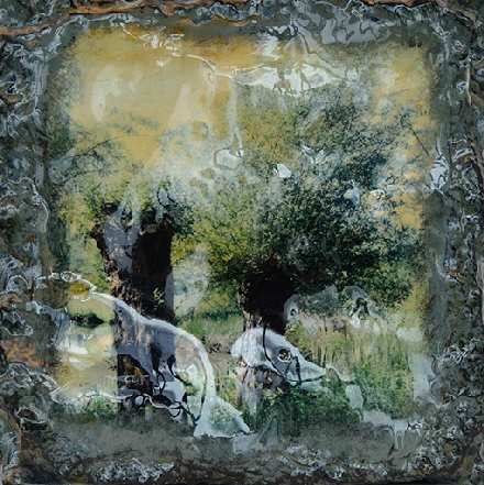 Stein-Wald I �Sigrid van Sierenberg