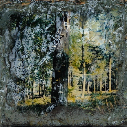 Stein-Wald II  �Sigrid van Sierenberg