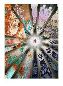 Sonderedition NEW VISIONS �Sigrid van Sierenberg