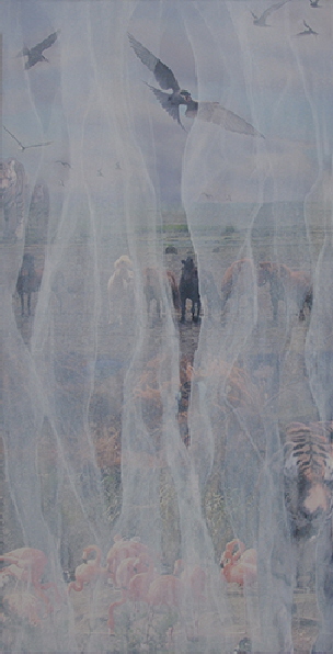 Tier �Sigrid van Sierenberg